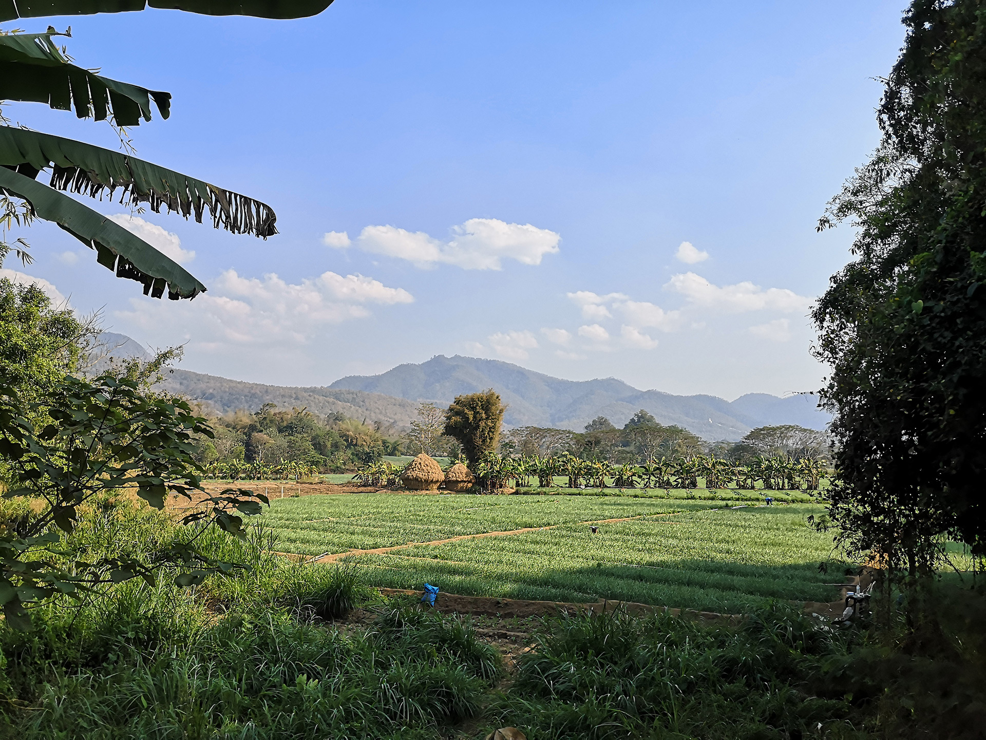 teaser image topic paper